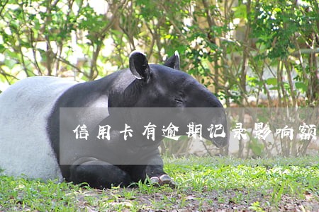 信用卡有逾期记录影响额度 信用卡有逾期记录影响额度