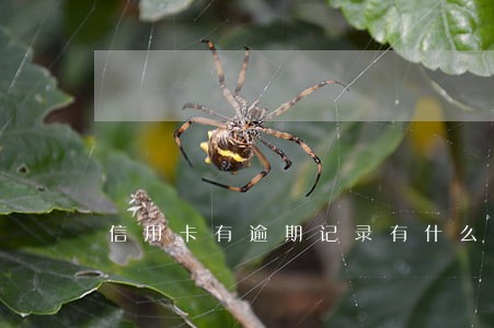 信用卡有逾期记录有什么影响 信用卡有逾期记录有什么影响