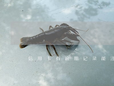 信用卡有逾期记录能注销吗 信用卡有逾期记录能注销吗