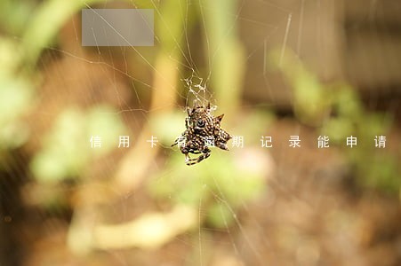 信用卡有逾期记录能申请信用卡 信用卡有逾期记录能申请信用卡