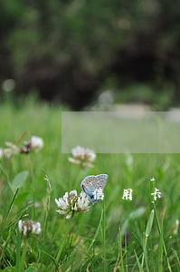 信用卡有逾期记录能网贷吗 信用卡有逾期记录能网贷吗