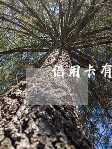 信用卡有逾期记录贷款买房 信用卡有逾期记录贷款买房
