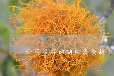 信用卡有逾期购房贷款上浮吗 信用卡有逾期购房贷款上浮吗
