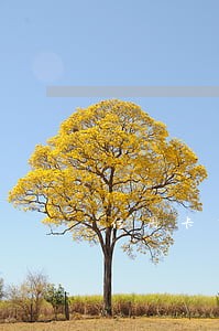 信用卡有逾期贷款哪个银行松啊 信用卡有逾期贷款哪个银行松啊