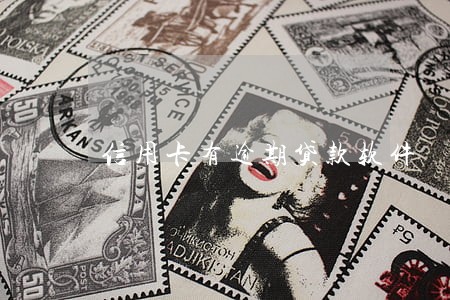 信用卡有逾期贷款软件 信用卡有逾期贷款软件