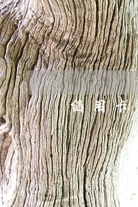 信用卡有逾期费用吗