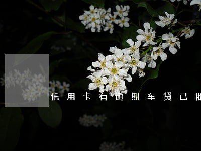 信用卡有逾期车贷已批 信用卡有逾期车贷已批