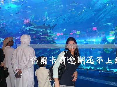 信用卡有逾期还不上的吗 信用卡有逾期还不上的吗