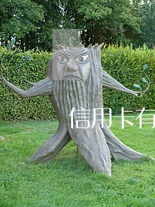 信用卡有逾期还可以买股票吗 信用卡有逾期还可以买股票吗