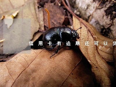信用卡有逾期还可以货款吗