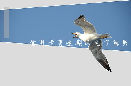 信用卡有逾期还完了能买房吗 信用卡有逾期还完了能买房吗