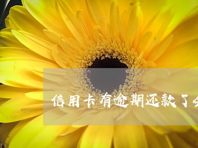 信用卡有逾期还款了会上征信吗 信用卡有逾期还款了会上征信吗