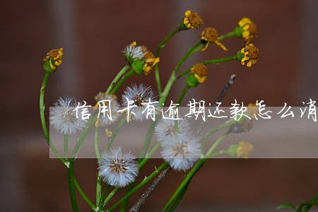 信用卡有逾期还款怎么消除 信用卡有逾期还款怎么消除