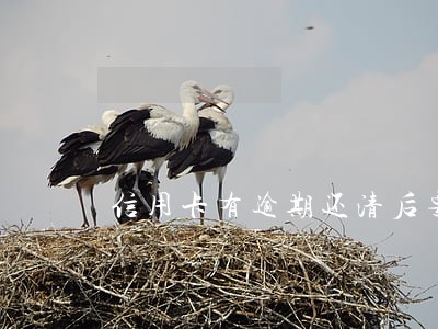 信用卡有逾期还清后要注销吗 信用卡有逾期还清后要注销吗
