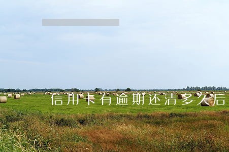 信用卡有逾期还清多久后可以注销