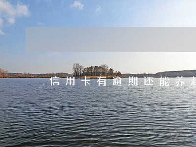 信用卡有逾期还能养起来吗