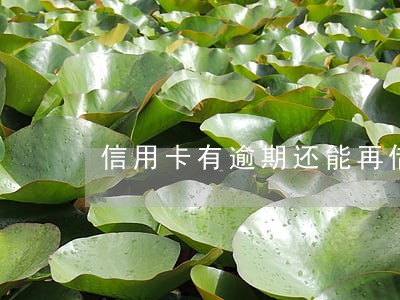 信用卡有逾期还能再借吗 信用卡有逾期还能再借吗