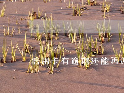 信用卡有逾期还能再办信用卡吗 信用卡有逾期还能再办信用卡吗