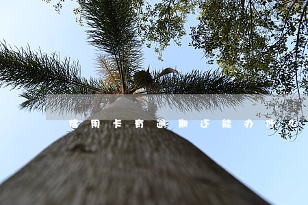 信用卡有逾期还能办什么网贷