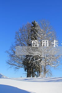 信用卡有逾期还能办护照吗 信用卡有逾期还能办护照吗