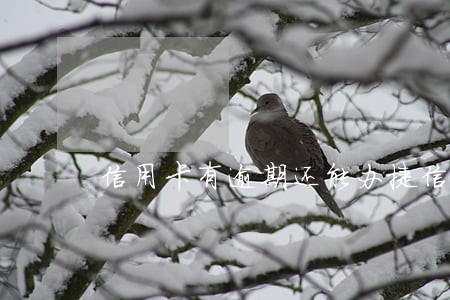信用卡有逾期还能办捷信不 信用卡有逾期还能办捷信不