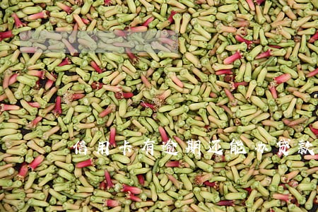 信用卡有逾期还能办贷款吗