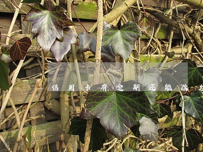 信用卡有逾期还能改名吗 信用卡有逾期还能改名吗