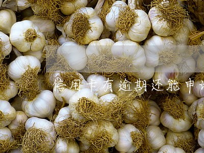 信用卡有逾期还能申请办卡吗 信用卡有逾期还能申请办卡吗