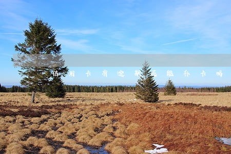 信用卡有逾期还能补卡吗新闻