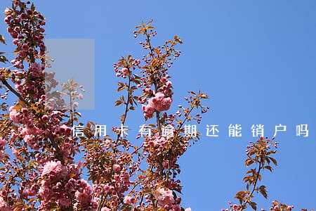 信用卡有逾期还能销户吗