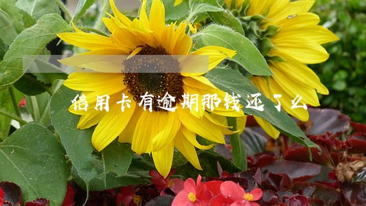 信用卡有逾期那钱还了么 信用卡有逾期那钱还了么