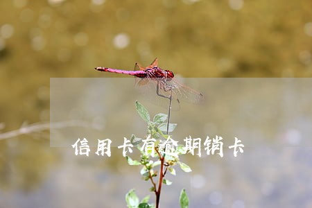 信用卡有逾期销卡