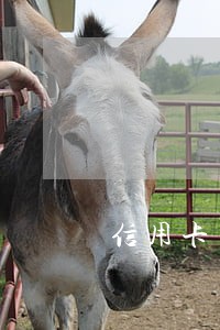 信用卡有逾期销卡记录怎么办 信用卡有逾期销卡记录怎么办