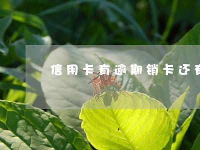 信用卡有逾期销卡还有记录吗 信用卡有逾期销卡还有记录吗
