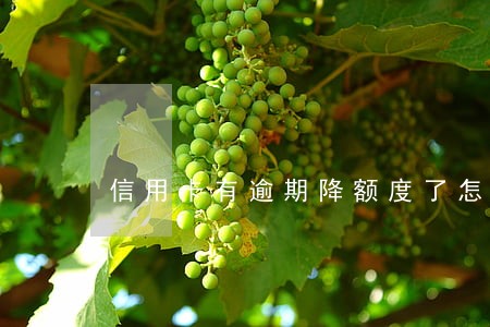 信用卡有逾期降额度了怎么办