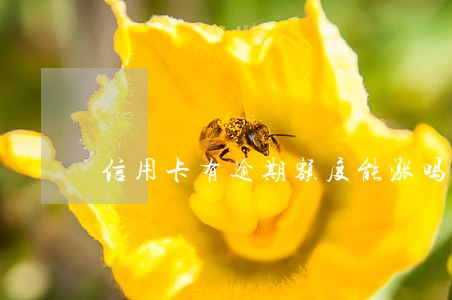 信用卡有逾期额度能涨吗 信用卡有逾期额度能涨吗