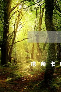 信用卡朋友拿去用不还还逾期