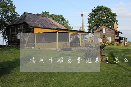 信用卡服务费逾期了怎么办 信用卡服务费逾期了怎么办