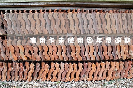 信用卡未使用因年费逾期怎么办 信用卡未使用因年费逾期怎么办