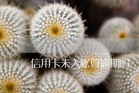 信用卡未入账算逾期吗
