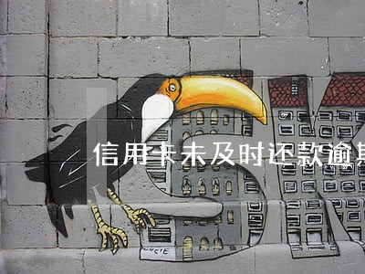 信用卡未及时还款逾期怎么办 信用卡未及时还款逾期怎么办