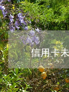 信用卡未开卡还款怎么算逾期