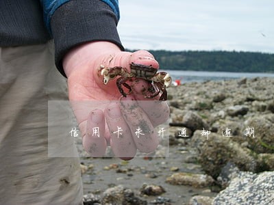 信用卡未开通却逾期 信用卡未开通却逾期