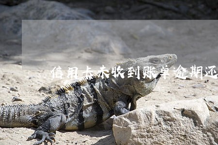 信用卡未收到账单逾期还款怎么办 信用卡未收到账单逾期还款怎么办