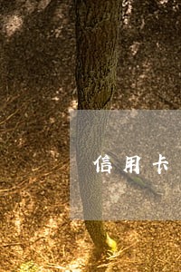 信用卡未还全款算逾期吗 信用卡未还全款算逾期吗