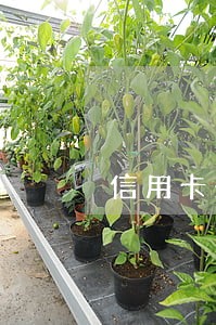 信用卡未还够一天最低算逾期吗