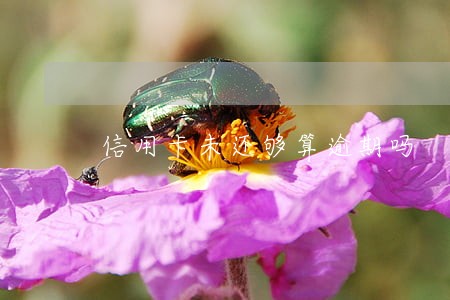 信用卡未还够算逾期吗 信用卡未还够算逾期吗