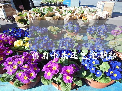 信用卡未还完逾期部分利息 信用卡未还完逾期部分利息