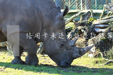 信用卡未还最低还款额算逾期吗 信用卡未还最低还款额算逾期吗