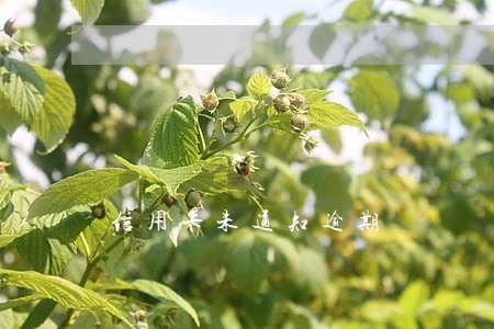 信用卡未通知逾期